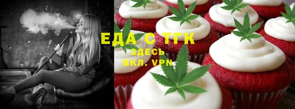 индика Аркадак
