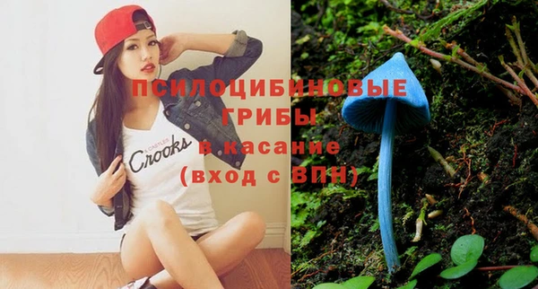 индика Аркадак