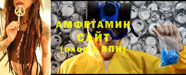 индика Аркадак