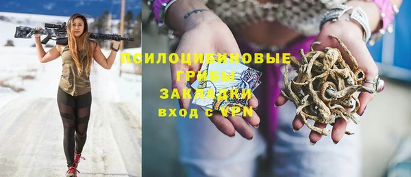 СК Арсеньев