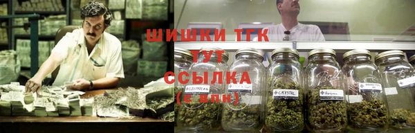 индика Аркадак