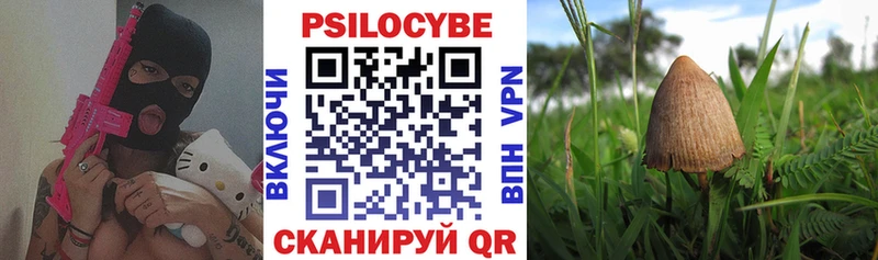 Псилоцибиновые грибы мицелий  даркнет сайт  мега онион  Алапаевск 
